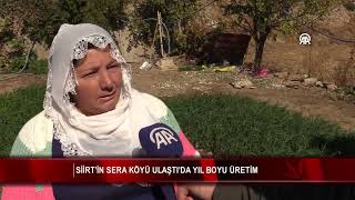 Siirt’in sera köyü Ulaştı’da yıl boyu üretim