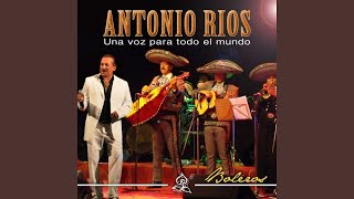 No Me Vuelvo A Enamorar Lyrics English Translation