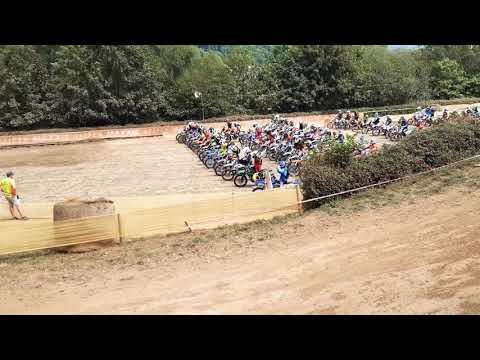 MSC Goldbach - start 2019