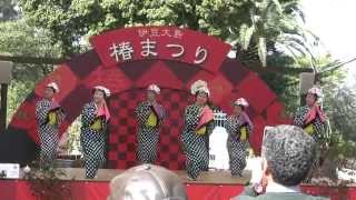 Download lagu 2015.3.22　 伊豆大島　椿まつり　アンコ椿は恋の花　椿プラザにて mp3