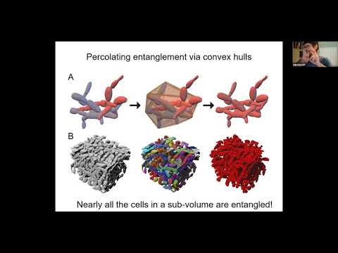 Contributed Talks 7: Experimental Evolution