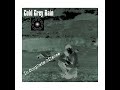 Cold Grey Rain - " In complete Silence " 