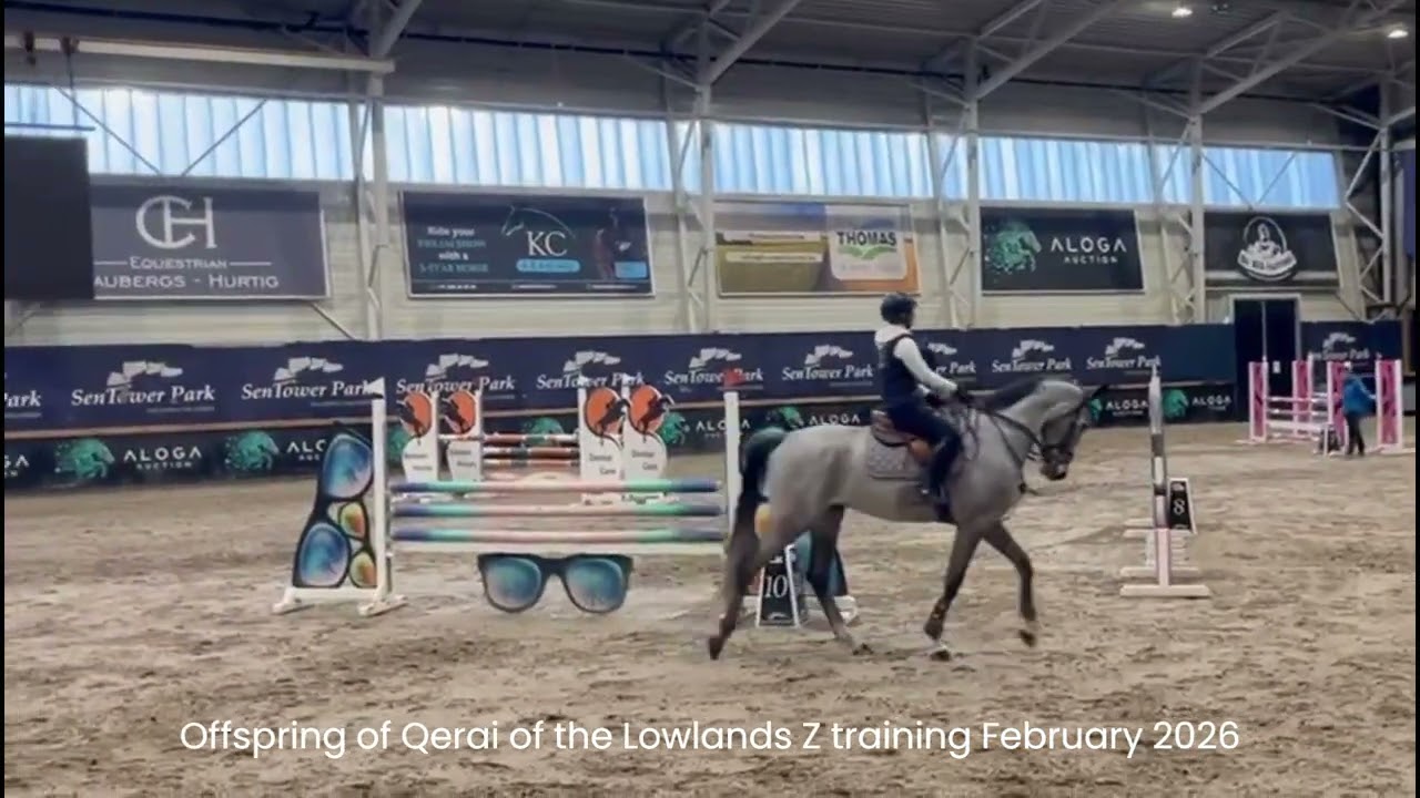 Qerai of the Lowlands Z ☆☆ (QUASIMODO Z x BURGGRAAF) video 3