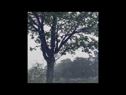 29. biocide - disposable [20.04.2019]