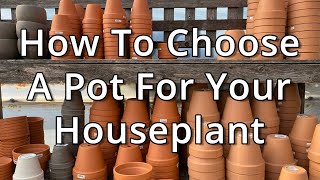 Choosing A Pot For Your Houseplant
