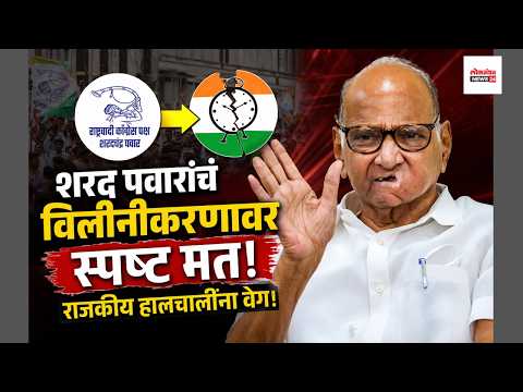 शरद पवारांचं विलीनीकरणावर स्पष्ट मत; राजकीय हालचालींना वेग!