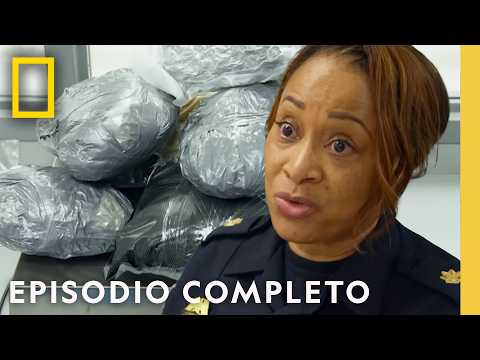 Viajeros Frecuentes | Traficantes: Estados Unidos | Nat Geo en Español