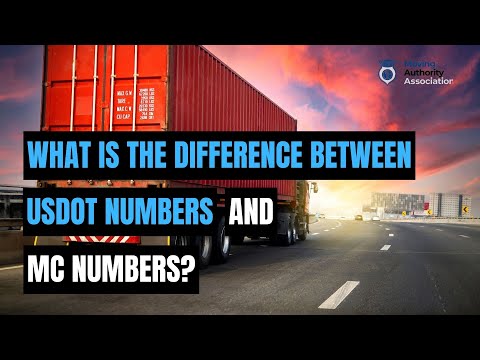 What Is the Difference Between USDOT Numbers and MC Numbers