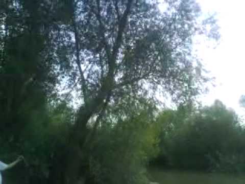 nebuni de la budint (5).MP4