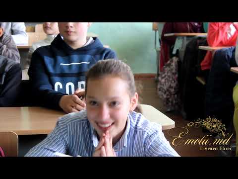 Emotii.md - Livrare Flori in Recea, Straseni !