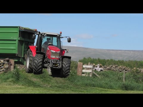 Silage '20 - Lifting with Claas 890 "Green Eye"