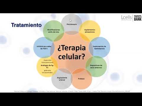 Restore Your Vitality: Ultimate Guide to Stem Cell Therapy for ED in Mexico
