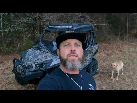 Showtime Dog Feed and Where have I been? 