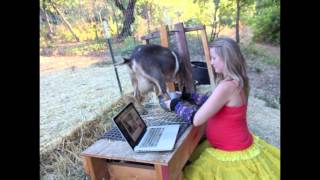Looks Like Love To Me: She's So Excited! Halfway Done Kickstarter!