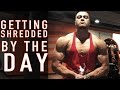 GETTING SHREDDED BY THE DAY