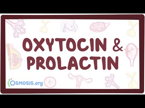 Oxytocin and prolactin