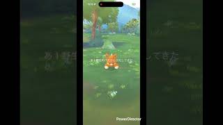 デカいパモ #pokemongo #pokemon #ポケgo #ポケモンgo