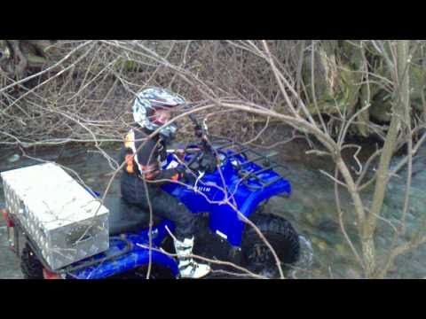 Darlingeröder Wölfe / Darlingerode