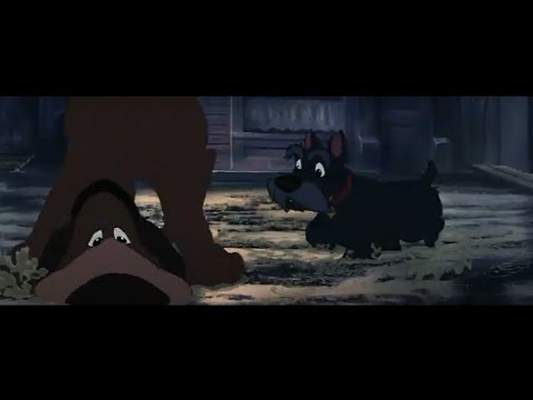 la belle et le clochard Sauvons Clochard !!