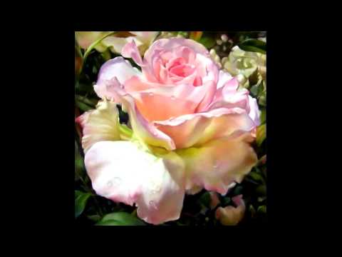 Ella Se Fue - Kiko Rodriguez