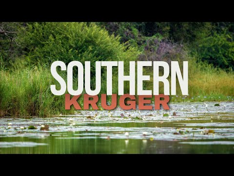 Southern Kruger National Park: Ultimate Safari Guide 🌍🐾