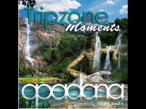 Tripzone - Moments