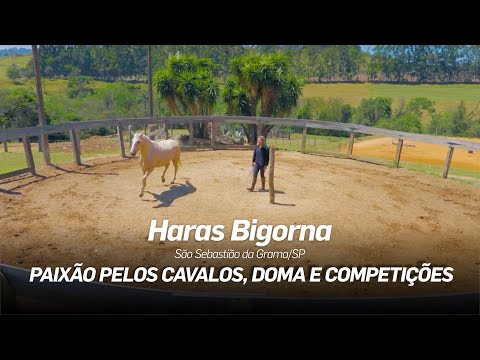 Caso de Sucesso 357 | Dalva Marques, Uma História Voltada ao Mundo Dos Cavalos #032