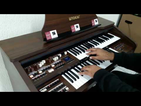 Órgão Eletrônico Tokai MD-20 - Loja Teclasom