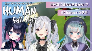 【#Charactコラボ】#HUMANFallFlat【美波七海、功刀愛菜、碓氷レイラ】#協力プレイ