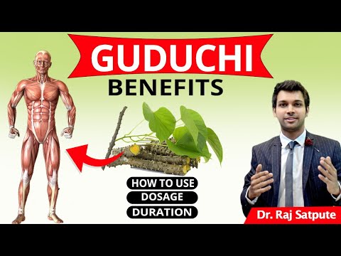 Himalaya guduchi capsules, 60 capsule