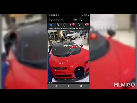 el alfa y el ave fénix