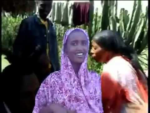 Guutuu Buntii (Dargaggoo) - Miisiroo