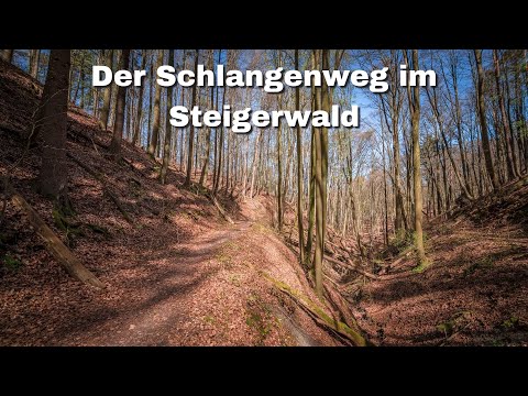 🌳 Wanderung auf dem Schlangenweg im Steigerwald / Franken