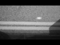 The Dears-Pinned together, falling apart - Lyrics