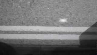 The Dears-Pinned together, falling apart - Lyrics