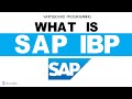 What Is SAP IBP Explained Introduction To SAP IBP Overview Basics