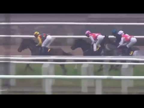 2014.10.12 Svenskt St Leger - Eye in the Sky