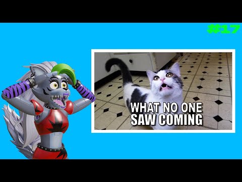 REACTING to FUNNY Talking Kitty Cat Videos Part 17