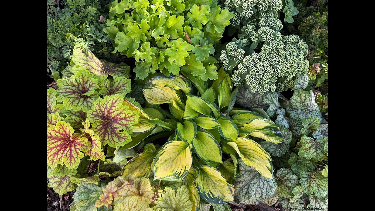 Landscape Re-Do, Part One (2025) #37