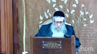 הרה"ג הרב וועכטר שליט"א י"ט אדר ב' תשפ"ד - ליקוטי שיחות חלק ט"ז שיחה פסח (הרב אברהם מנחם מענדל וכטר) - התמונה מוצגת ישירות מתוך אתר האינטרנט יוטיוב. זכויות היוצרים בתמונה שייכות ליוצרה. קישור קרדיט למקור התוכן נמצא בתוך דף הסרטון