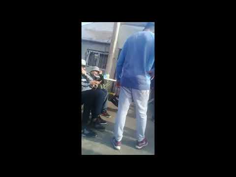 Apolo vs signo s.c free 2019