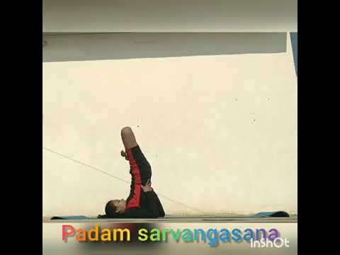 Padma Sarvangasana(Lotus in Shoulderstand)Stimulates function of the thyroid gland, kidneys .
