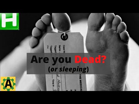 Are You Dead? Use this script to auto-timeout unless you do something