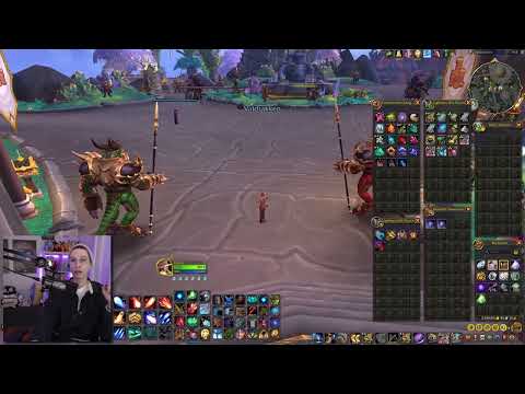 finally working on my Phoenix Wishwing pet!