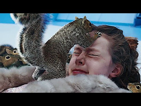 Squirrel Attack - Charlie and the Chocolate Factory (1080p)