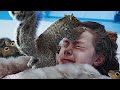 Squirrel Attack Charlie And The Chocolate Factory