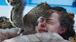 Squirrel Attack - Charlie and the Chocolate Factor