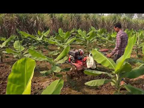 Sappers power weeder(spw-5), 5 hp