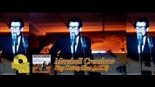 Marshall Crenshaw - Stop Doing That (FULL MIDI) - Custom work we transcribed for a client