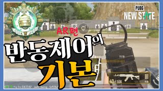 따라만 하면 “AR 레이저 샷발” 보장합니다 [뉴배]